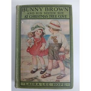 Lot of 2 Vtg Bunny Brown and His Sister Sue Books Laura Lee Hope Big Woods *